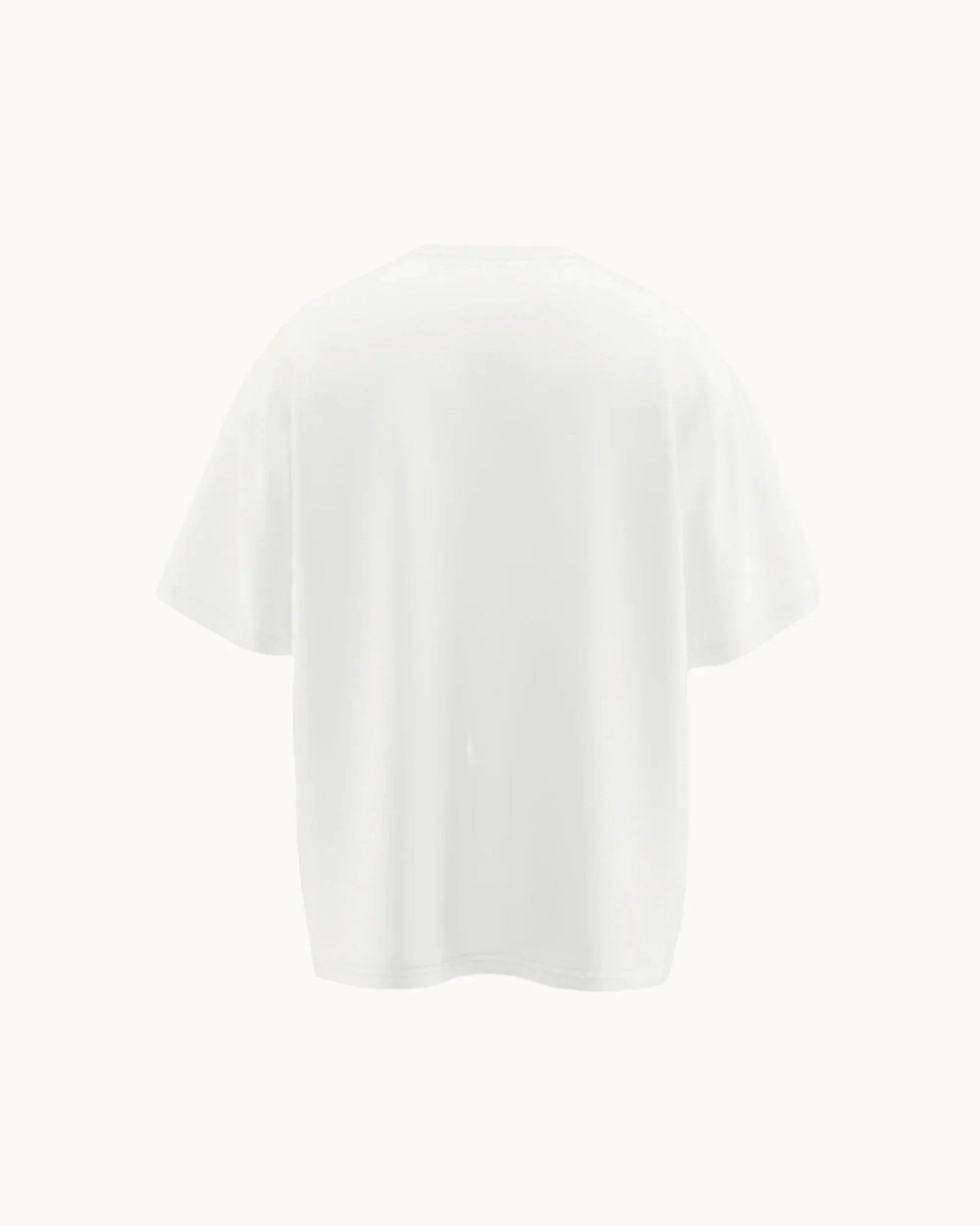 Back view of plain white short sleeve t-shirt on white background